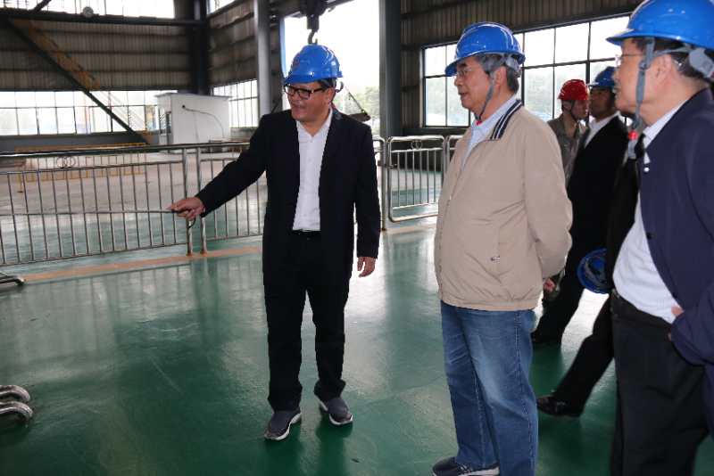 中国科学院原副院长杨柏龄、曹春晓院士一行光临我司调研领导